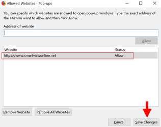 net web address displays in the window with the status of Allow, click the Save Changes button.