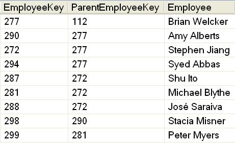 Parent-Child Hierarchy Example Brian Amy