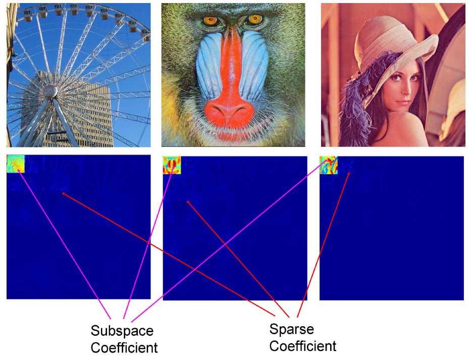 Images The same is true of other visual signals such as reflectance fields (RF).