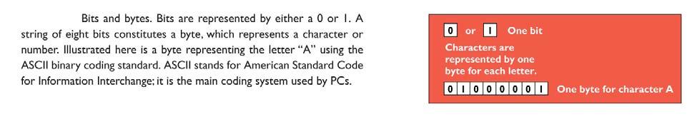 COMPUTER SYSTEMS Section 1 BITS AND BYTES In order for information to flow through a computer system and be in a form suitable for processing, all symbols, pictures, or words must be reduced to a