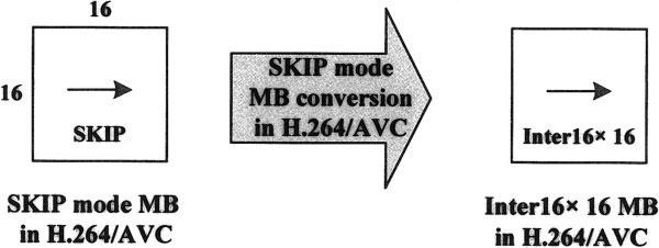Figure 4. Preprocessing step before block-type conversion and motion vector mapping.