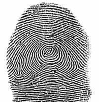 For Fingerprint recognition, there are three types of fundamental stages [6]: Data acquisition: In this stage, through user interface the fingerprint data is acquired.