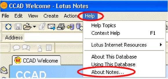 3.3. If Lotus Notes is NOT installed on this PC, then choose the New Installation option from the Install Option menu and follow the instructions in Section 4.