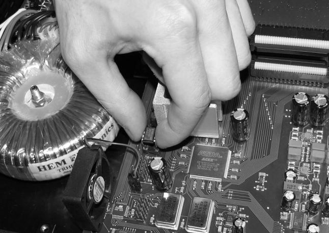 5. Carefully insert new memory chip in the socket.