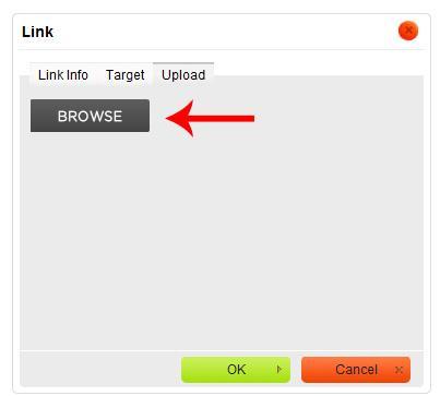 5. Click on the Browse button and find the PDF you are looking to upload *NOTE*