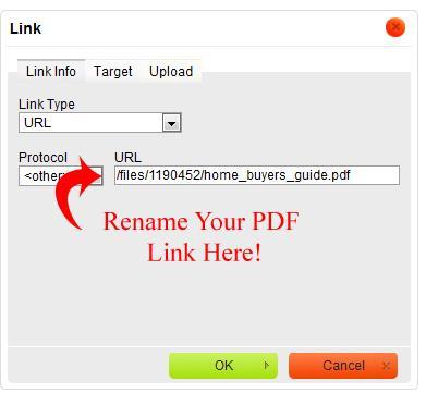 Rename your PDF link here.