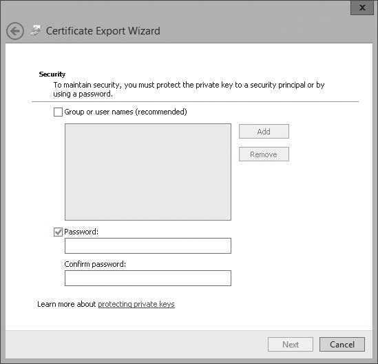 8. On the Security page, select the Password checkbox (see Figure 6-14), and type in the password in the Password and