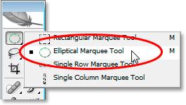 Selecting the Elliptical Marquee Tool from the Tools palette.