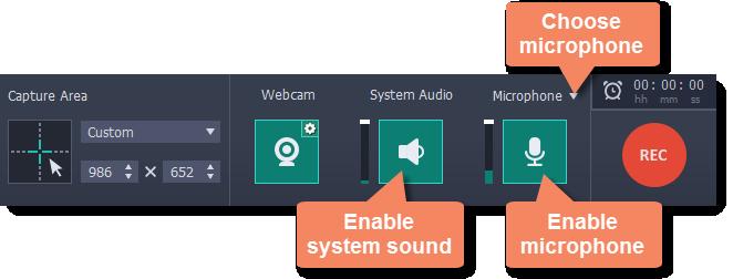 Next, choose the audio sources that you want to hear on your recording: System sounds To record music