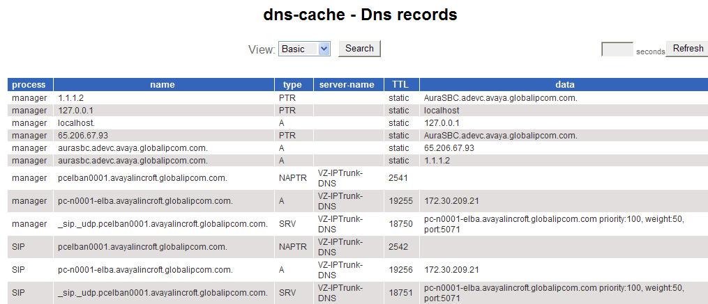 Using the left-hand menu shown above, select DNS dns-cache.