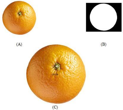 perfect results. Fig. 4: A: Input Photo. B: Binary Photo.