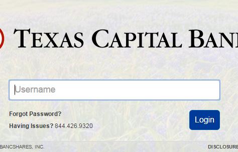 Online Banking Experience Guide Texas Capital Bank is enhancing our online banking experience for personal and small business clients.