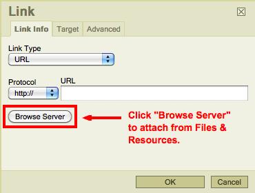 (Figure 12: Browse Server to attach from Files & Resources) 6. Once you click Browse Server, you ll see your site s Files and Resources. Simply select the file you d like to attach.
