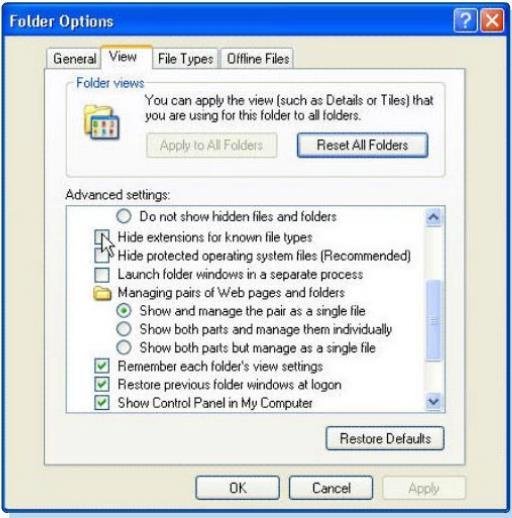 Virus writers are able to distribute executable files disguised as a non-executable file.