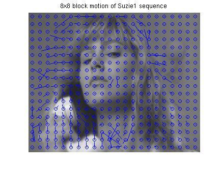 Block Matching Algorithm Optical Flow, Ex. 1 Suzie QCIF animation: The sequence shows a woman that faces the camera while speaking on the telephone.
