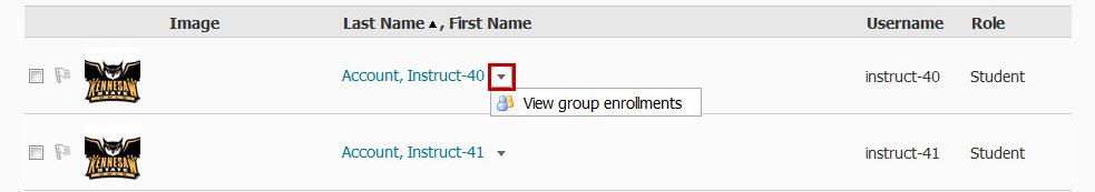 Under the Groups column, you will see the group that you have been assigned to in the class (see Figure 90). In the Members column, you will see how many people are in your group.