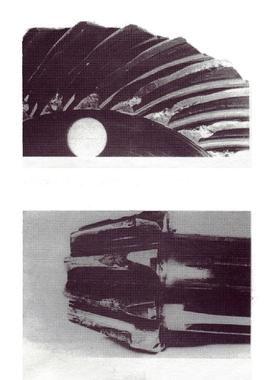 Conical pinion and crown from the tractor URSUS 1634 transmission Fig.
