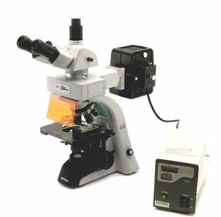 Epi-Fluorescence trinocular microscope B-353MET Upright