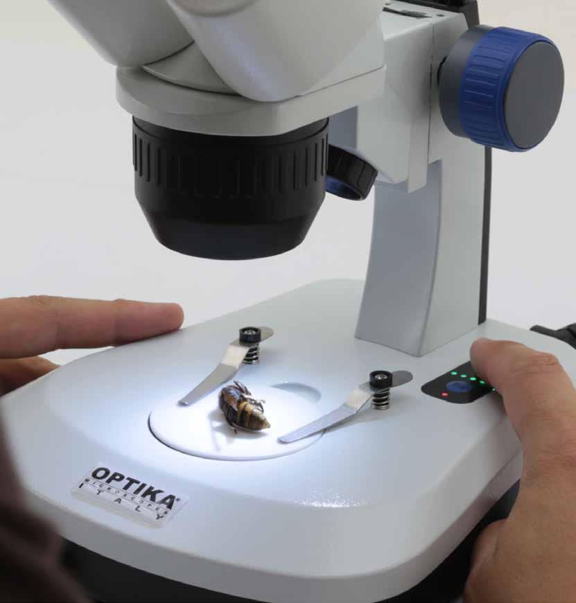 Designed For Simplicity & The Youngest Users Designed for novice USERs» Extremely reliable microscopes» Particularly recommended for primary school» Ideal for education, biology