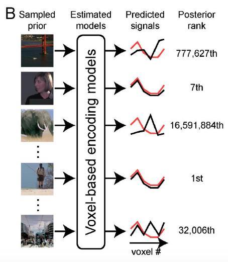 A Bayesian approach to reconstruct movies from evoked BOLD signals Prior: Sampled natural movie (~18 million 1-s movie clips from YouTube) Posterior: 1.