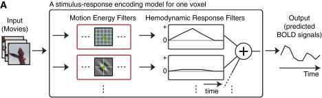 Motion-energy encoding model A two-stage process: