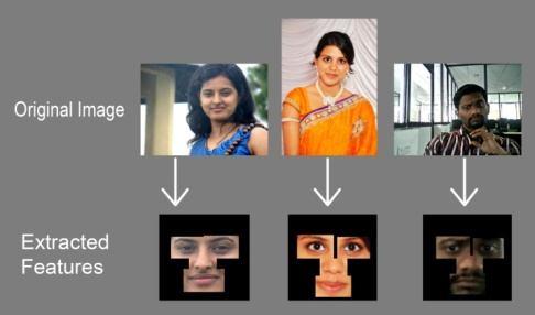 Same process is carried out as for database and finally we extract its Facial Features. Following are some of the Test Image Samples.