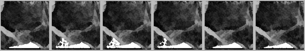 Fig. 4. Region smoothing by Min/Max Flow. Top row: Original regions. Bottom row: Smoothed regions.
