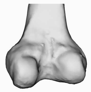 For detailed biological or medical investigations, especially for studying the size and shape of the contacting regions of cartilage and motion of the knee, accurate and smooth representations of the
