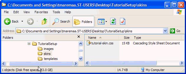 Step 2: Extract Setup Files and Replace the Existing Template Figure 4 8 Expanded Skins Folder in the Tutorial Setup Directory 5.