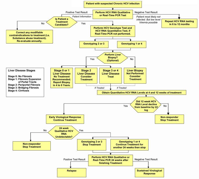 Example: HCV treatment flow chart (From