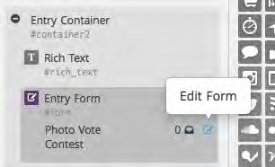STEP 8 To edit your entry form the form your Campaign entrants will see after they vote click on the gray pencil icon next to the form name in the Form Widget labeled Sweepstakes Popup.
