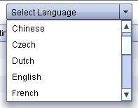 Translator The RMT has a built in translation tool, designed to reflect the correct local language in the system tabs and menus seen in the RMT The changes made in the RMT will subsequently get
