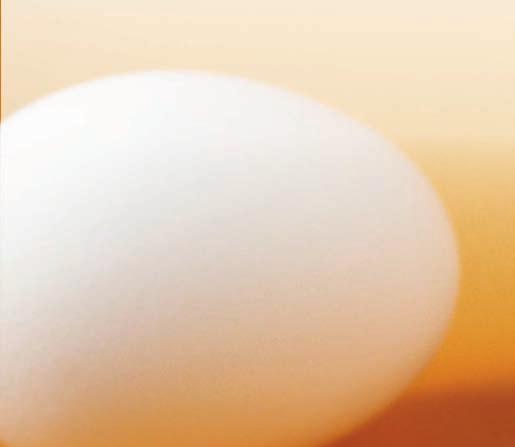 Incorporates a high-speed tri-axial ± 40 G accelerometer with an internal temperature sensor. Internal Temperature sensor, especially for hatching eggs.