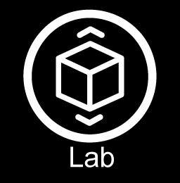 10 Lab