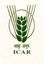 DIRECTORATE OF SORGHUM RESEARCH (INDIAN COUNCIL OF AGRICULTURAL RESEARCH) National Agricultural Innovation Project Rajendranagar: Hyderabad 500 030 Phone: 040-24015349, 040-24018799, Fax: