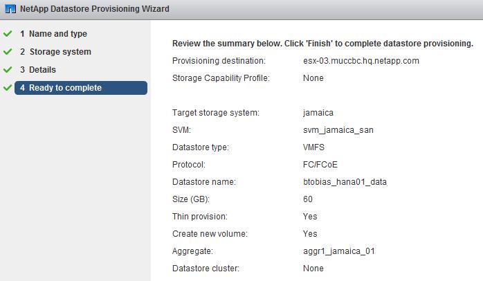 2. Fill necessary information in the Provision Datastore wizard.