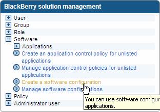 Page 17 11. Go to "BlackBerry solution management." 12.