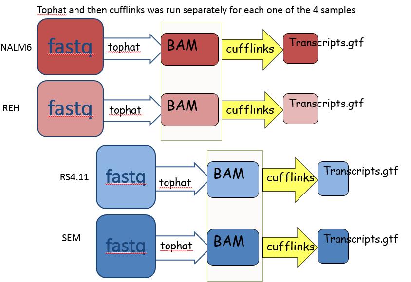June 2016 RNA-Seq Analysis With the Tuxedo Suite Dena Leshkowitz Introduction In this exercise we will learn how to analyse RNA-Seq data using the Tuxedo Suite tools: Tophat, Cuffmerge, Cufflinks and