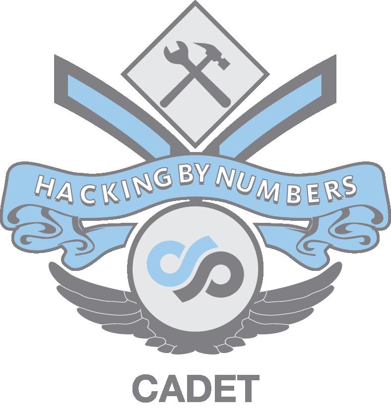 A. Cadet Edition Hacking By Numbers Cadet Edition is offered as an introduction to the art and science of computer hacking.