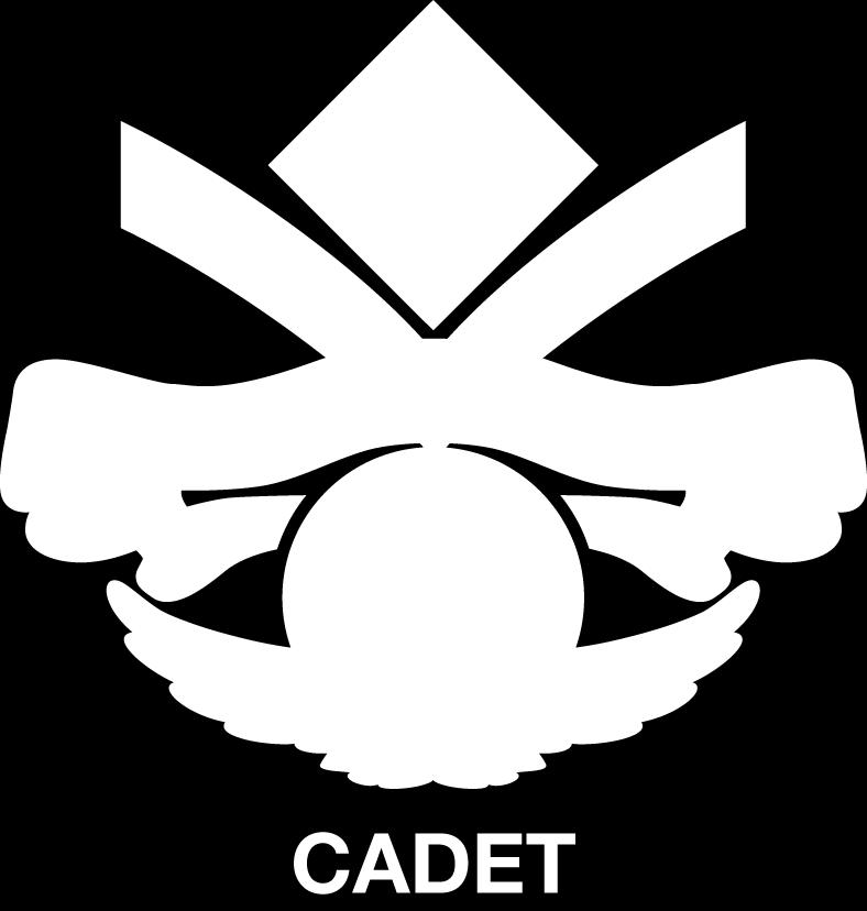 'Cadet Edition' is an introductory course for technical people with no previous experience in the world of hacking.
