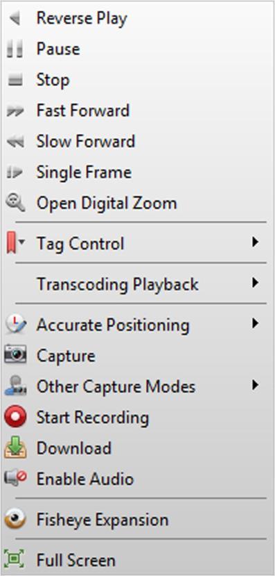 Icon Name Description Accurate Positioning Set the accurate time point to play the video file. Date The day that has video files will be marked with.