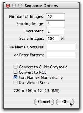 3. Specify the Sequence Options. Use all twelve slices, beginning with the first slice and incrementing by one. Do not scale the images.