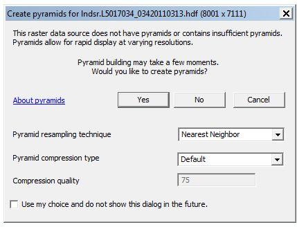 Creating pyramids allows for faster loading of the raster dataset next time you add it to a map document.
