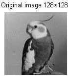 0947& CR 88.5361 Figure-9 Results analysis in this section compressed image bird (128 128) according to table-3 & see figure (10, 11& 12).