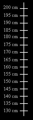 Interval-Scaled Variables Continuous measurements of a roughly linear scale E.g. weight, height, temperature, etc. Height Scale 1. Scale ranges over the metre or foot scale 2.