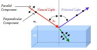 Hanspal 5 Natural light, which is randomly polarized as shown in figure 4, can be represented by components of polarization parallel and perpendicular to the plane of incidence.