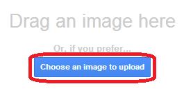 Your image will now be in your document.