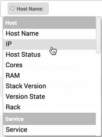 Managing Hosts Search by Host Attribute Search by host name, IP, host status, and other attributes, including: Search by Service Find hosts that are hosting a