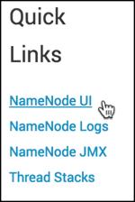 For a service, browse to Services > Summary > Quick Links. Quick Links are not available for every service. 2. On Quick Links, click a native user interface name.