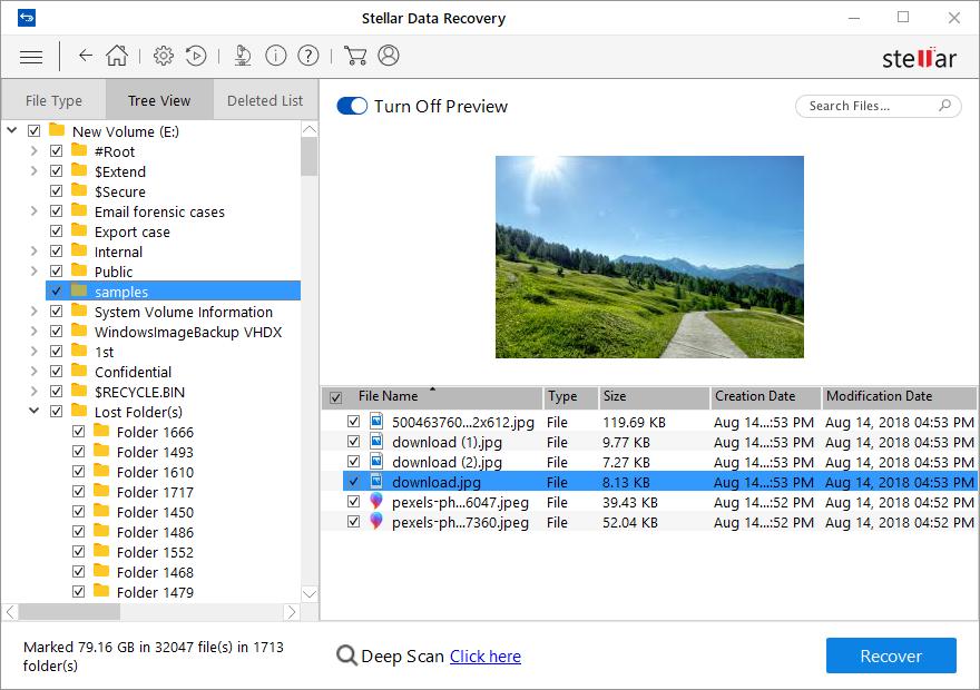 3.1.3. Preview Scan Result Stellar Data Recovery Home shows the preview of the les and folders present in the scanned physical volume or the removable media.